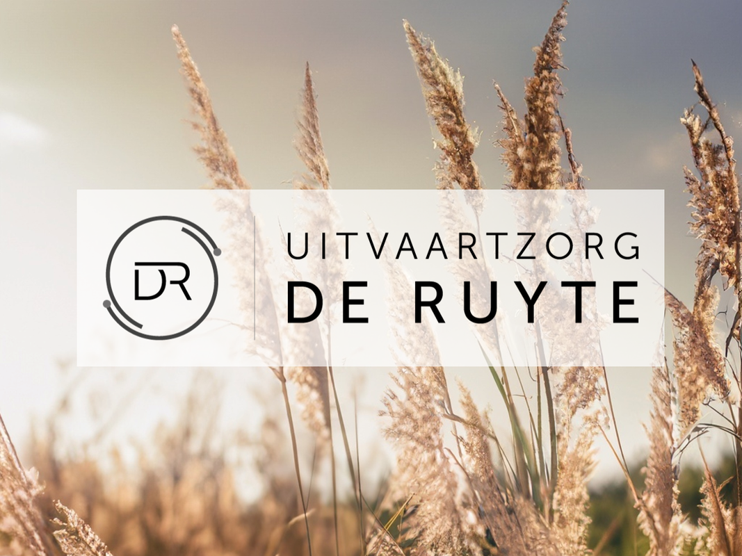 DE RUYTE